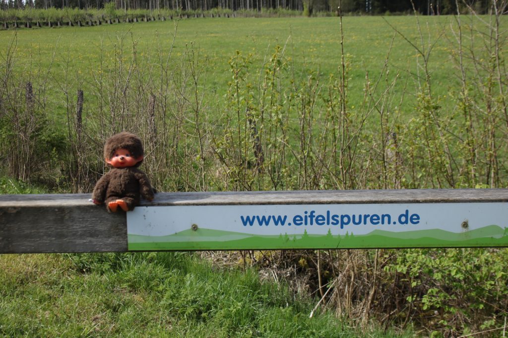 Maskottchen Minou am Beginn der Narzissenwanderung