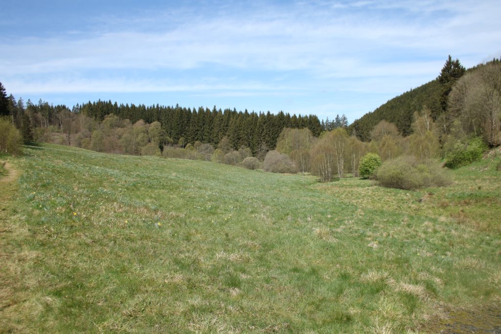 Blick in die Eifel