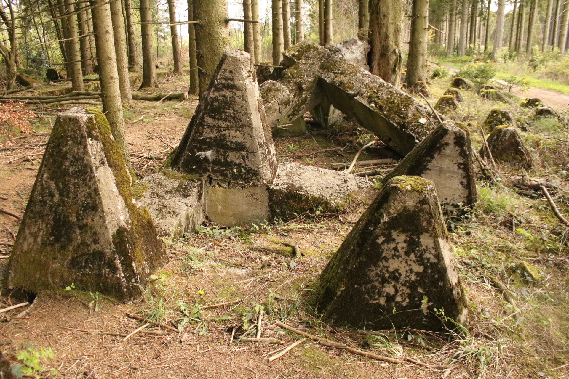 Reste vom Westwall in der Eifel