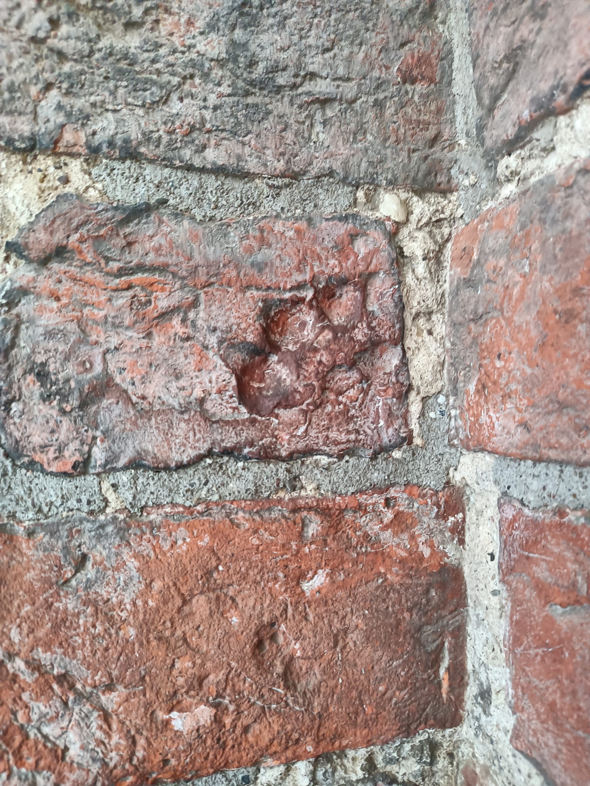 800 Jahre alter Pfotenabdruck eines HUndes in einem Stadttor