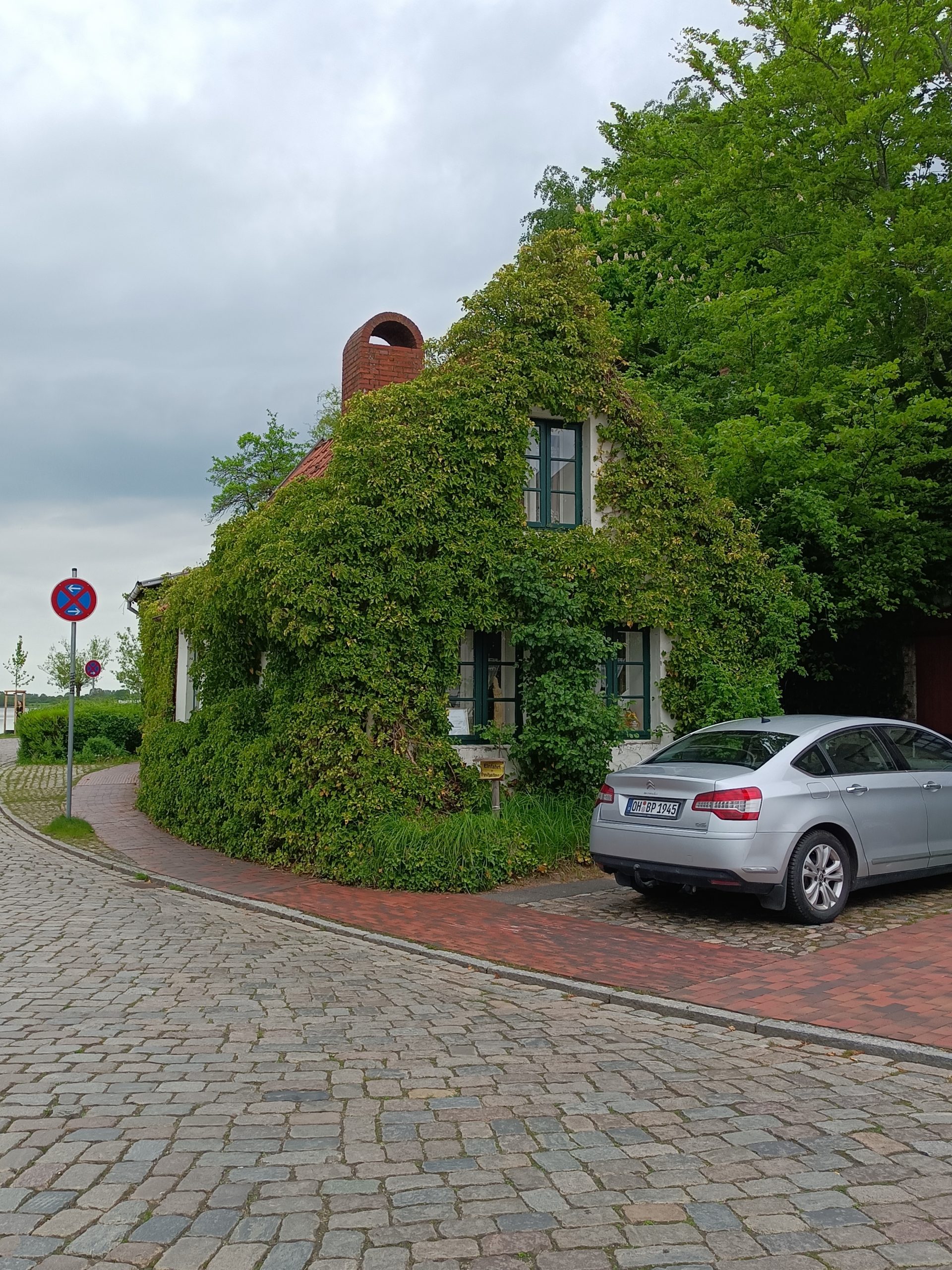 Haus mit Efeu zugewachsen