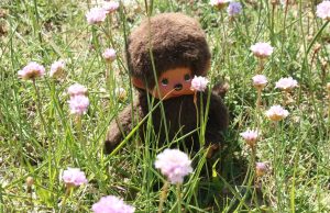 Minou im wilden Klee