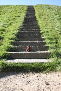 Minou beim UNSCO Weltkulturerbe