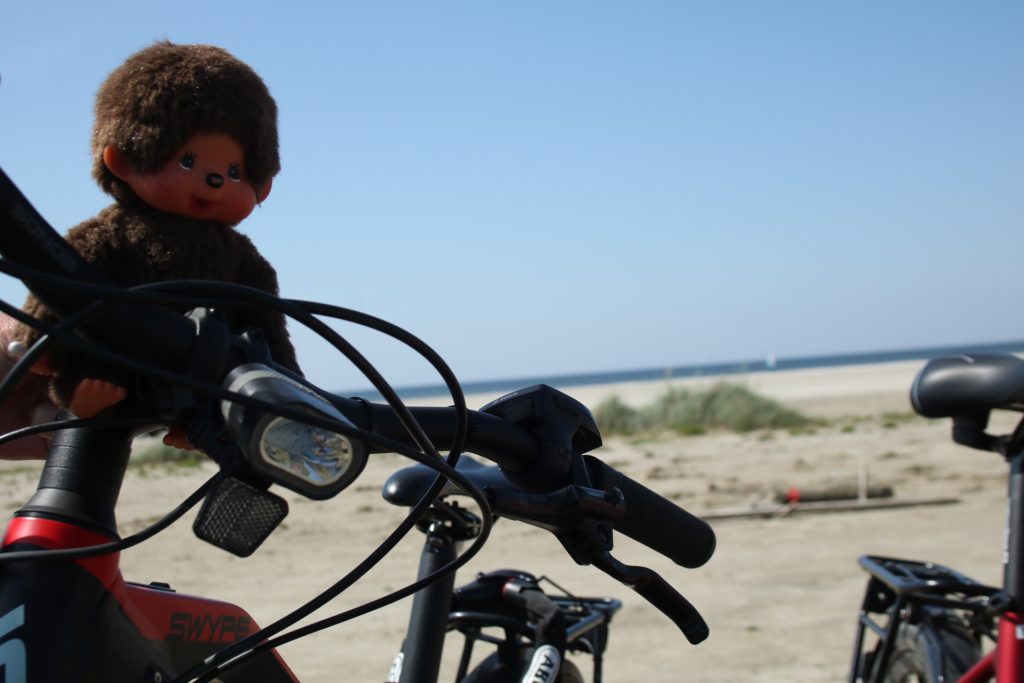 Minou fährt Fahrrad am Strand von Fanø