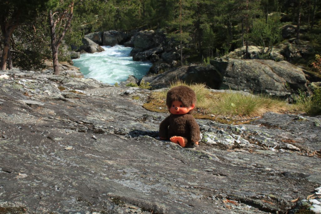 Minou am Riddarspranget