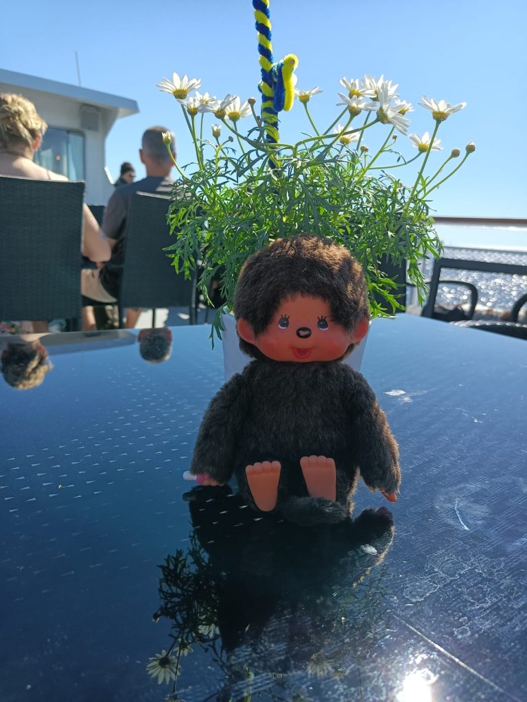 Minou in den Schären