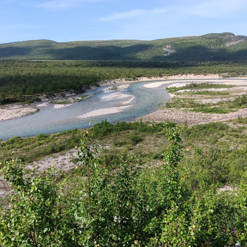 Fluss eingebettet im Kieslauf mit bewaldeten Hügeln