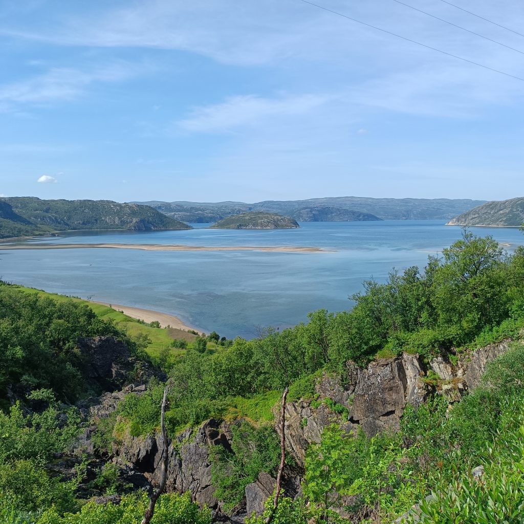 Blick über Bäume auf das Meer
