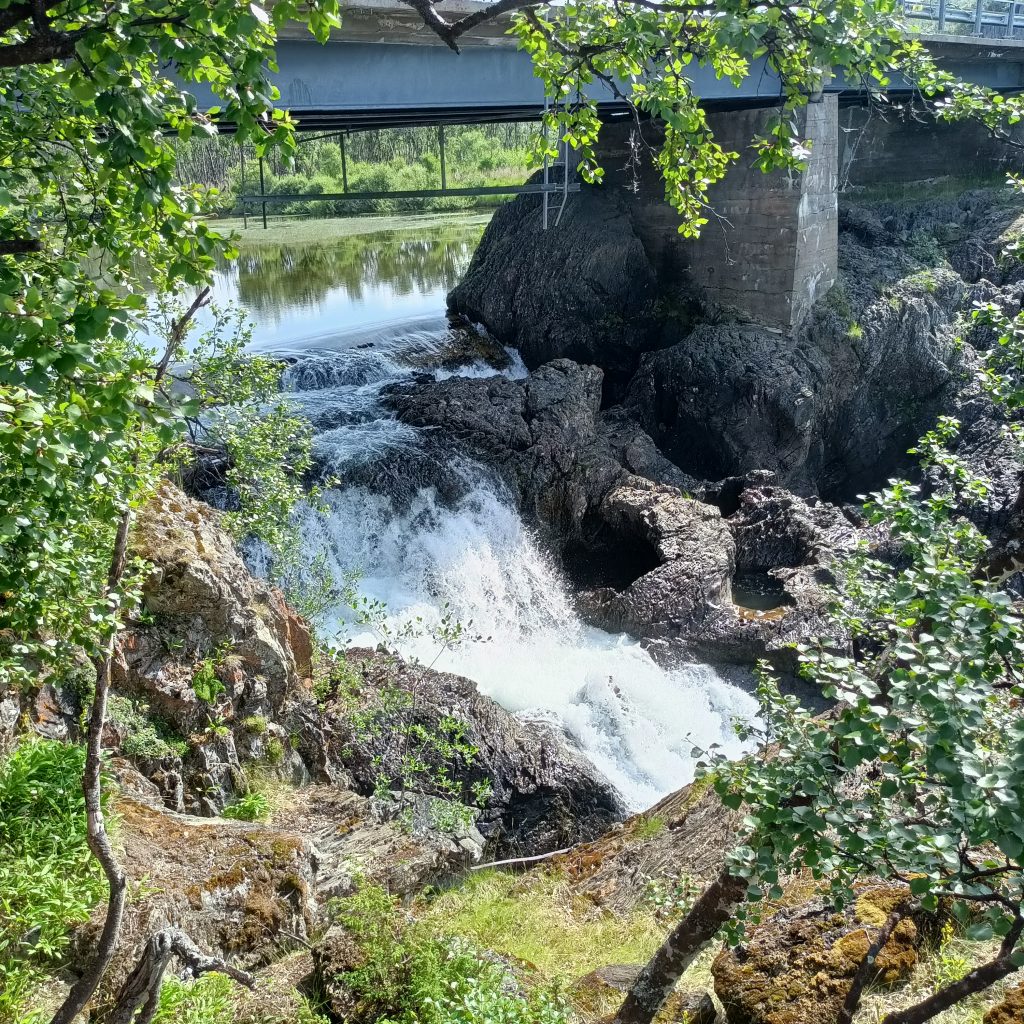 Wasserfall eingerahmt von Bäumen