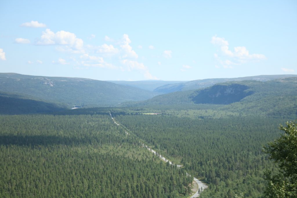 Blick über die weiten Wälder des Altatals