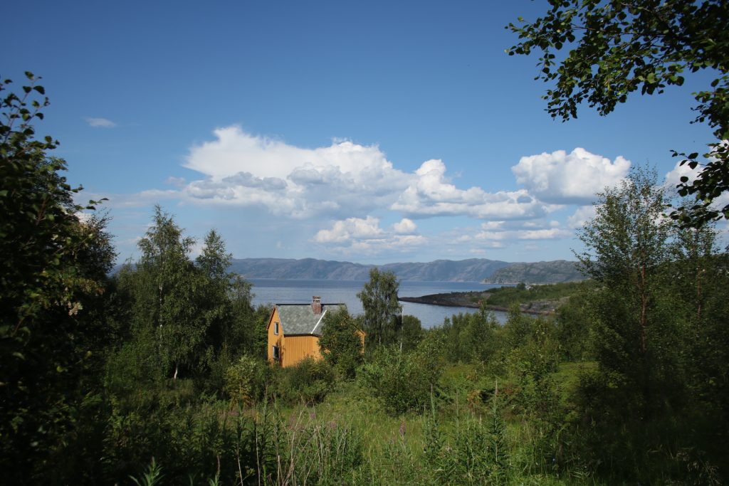 Gelbes Haus umgeben von Bäumen