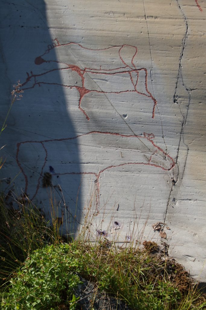 Felsenmalerei - Darstellung von Elchen