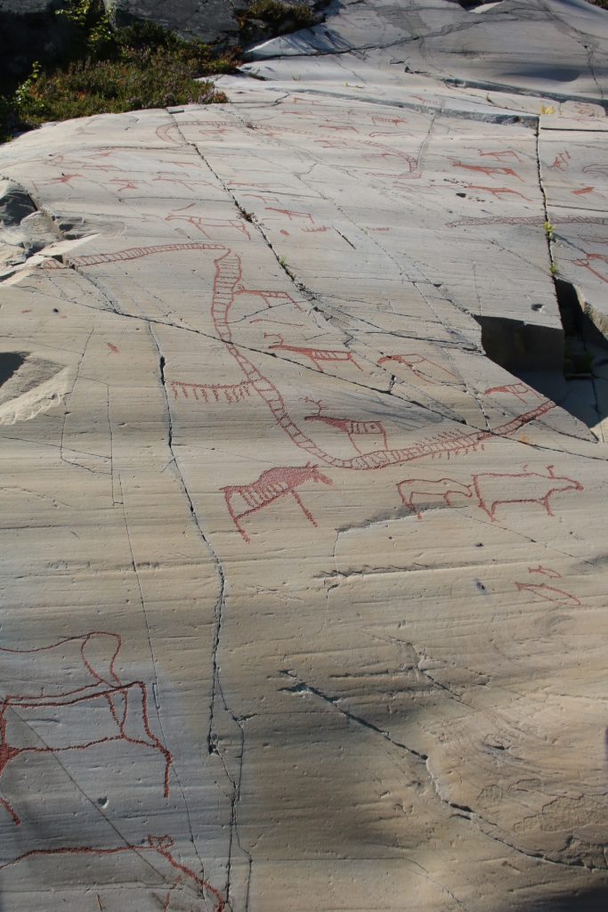 Darstellung von Elchen