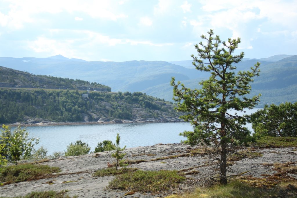 Blick auf den Atlantik mit Nadelbaum zur rechten und Gebirge im Hintergrund