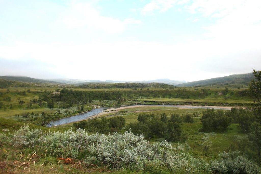 Bäume, Hügel und Fluß