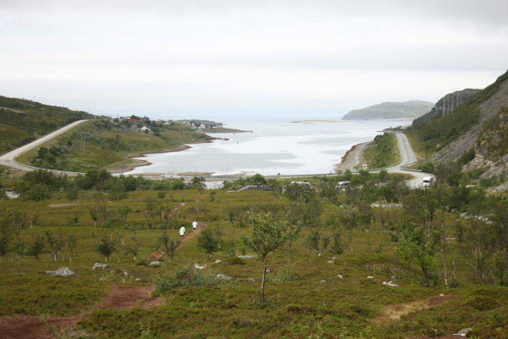 Bäume und Sträucher mit Lillefjord im Hintergrund