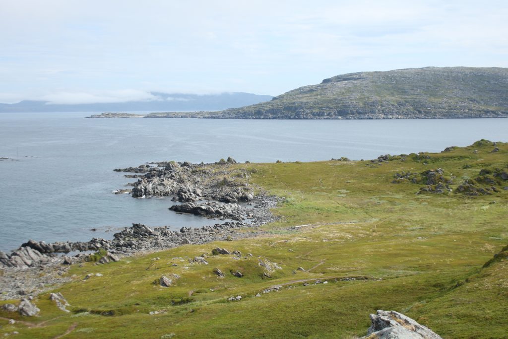 Berge und Meer mit Grünflche und Felsen
