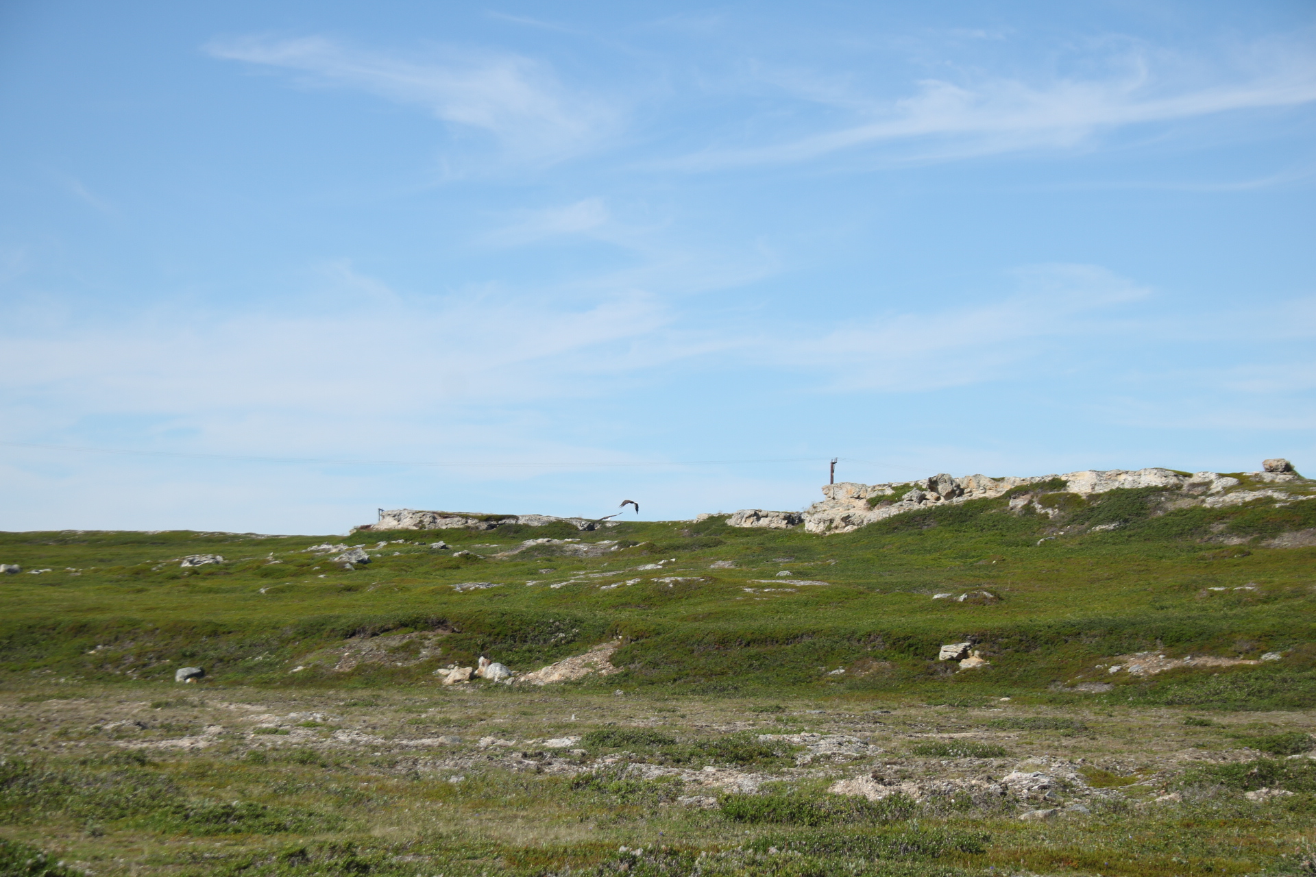 Landschaft - Wiesen und Felsen