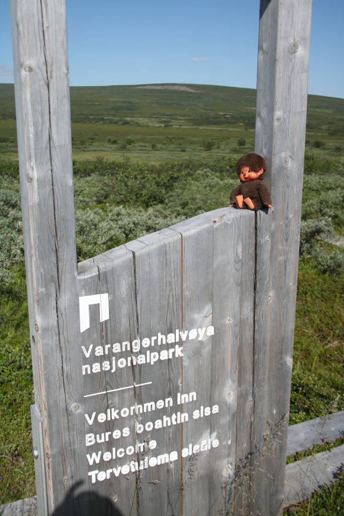 Minou auf der Hinweistafel der Schutzhütte