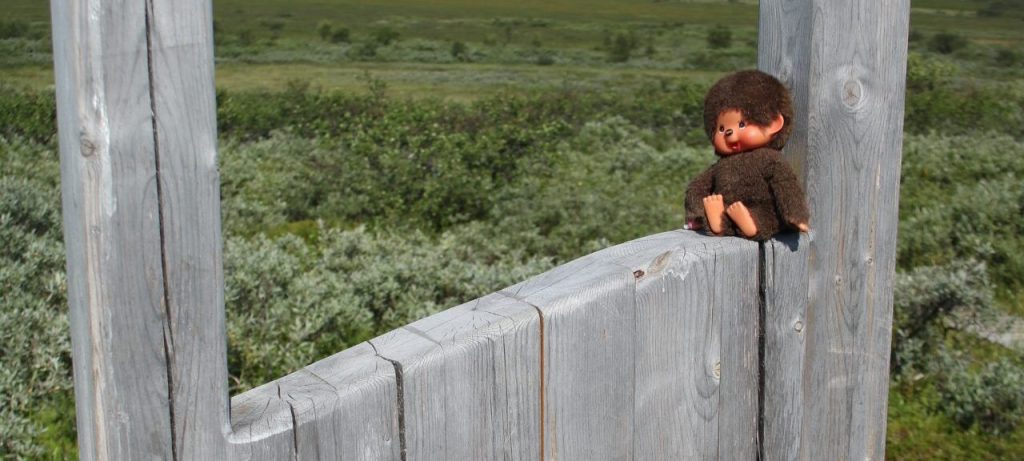 Minou sitze auf der Hinweistafel des Rastplatzes