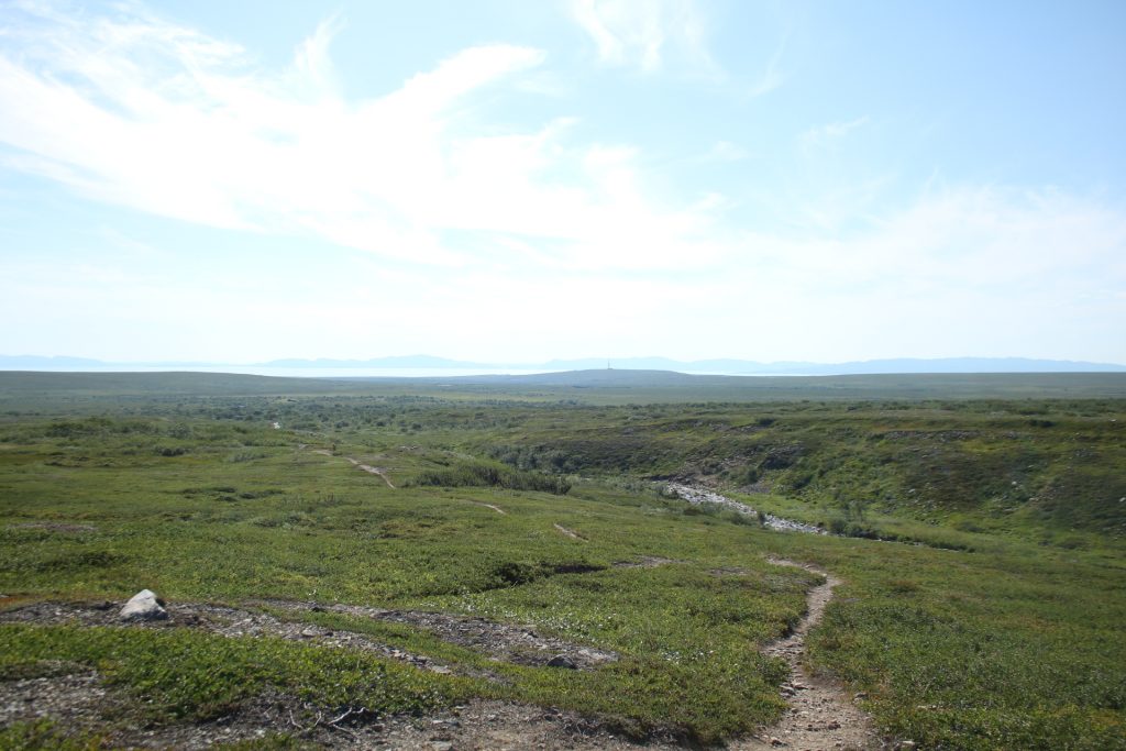 Blick über die Tundra