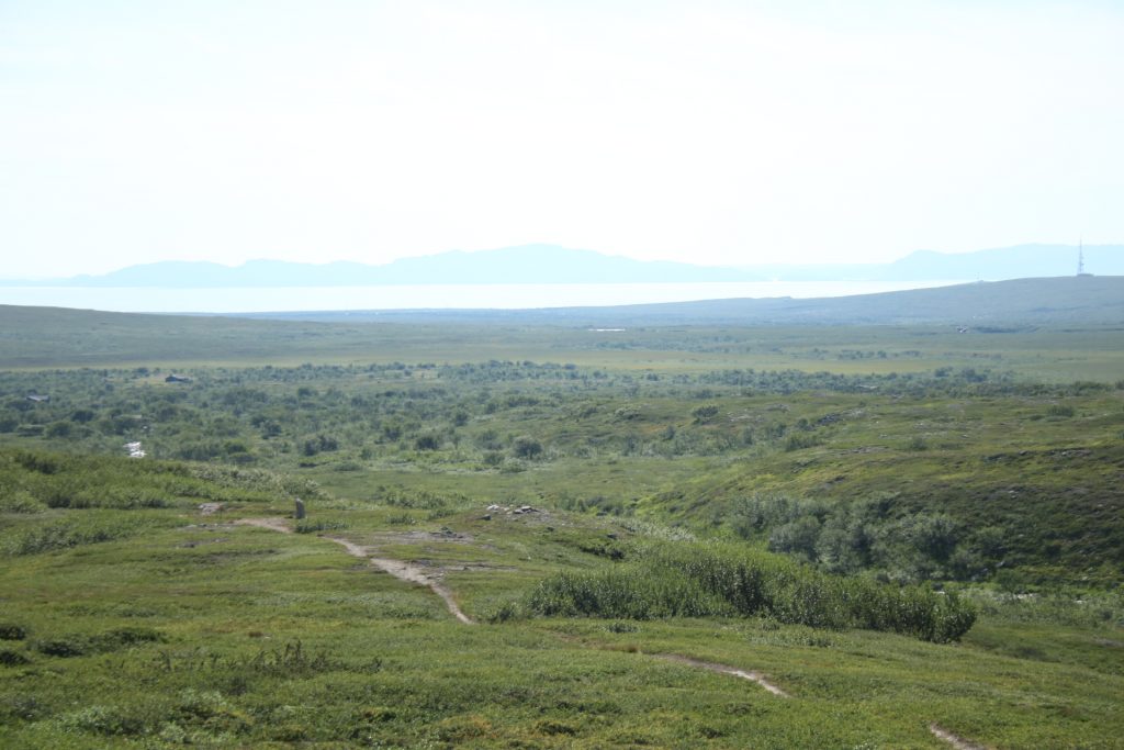 Wanderweg durch die Tundra