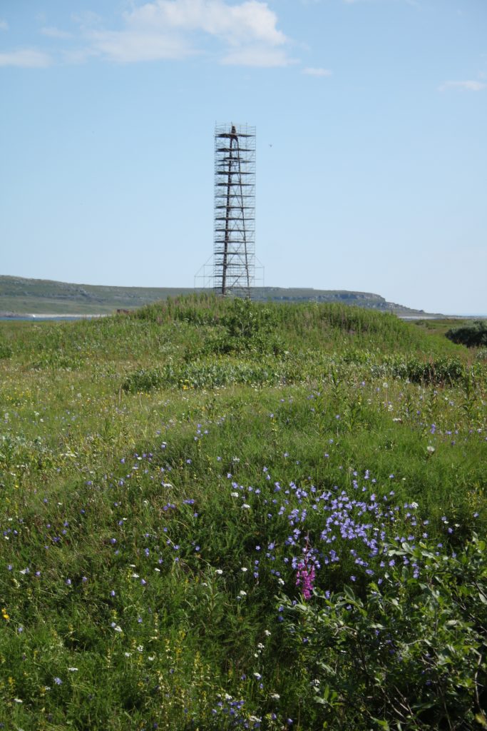 Grüner Hügel und Luftschiffmast