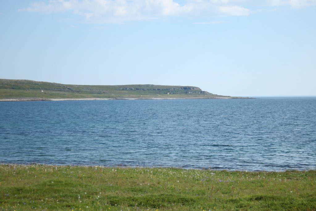 Wiese, Meer und Berg