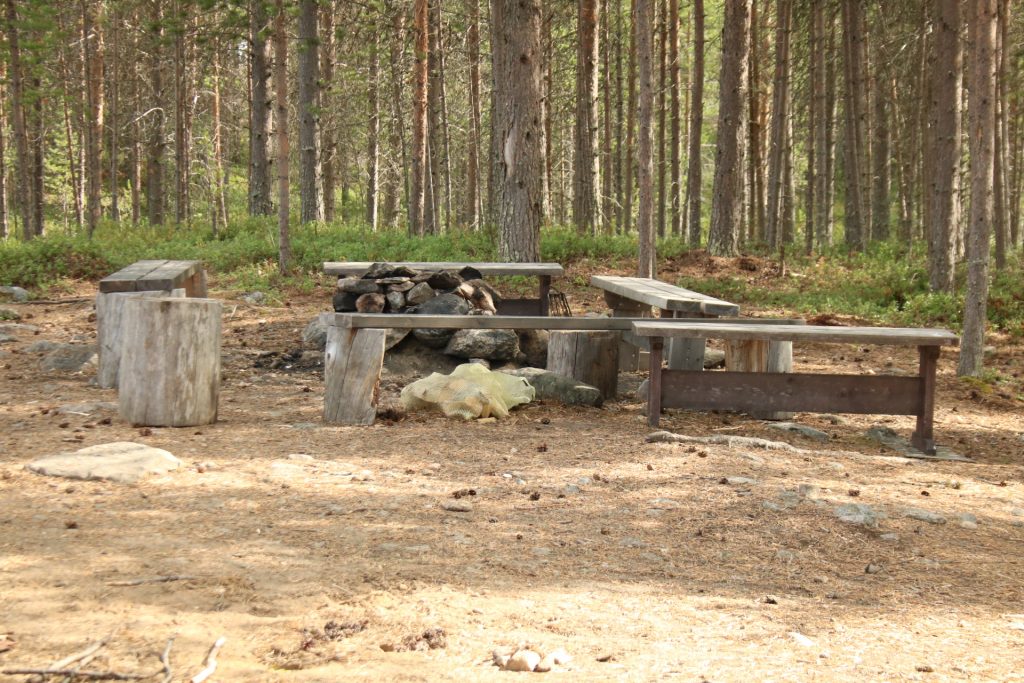 Bänke und Tisch mit Feuerstelle im Wald