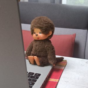 Minou ließt den Bericht