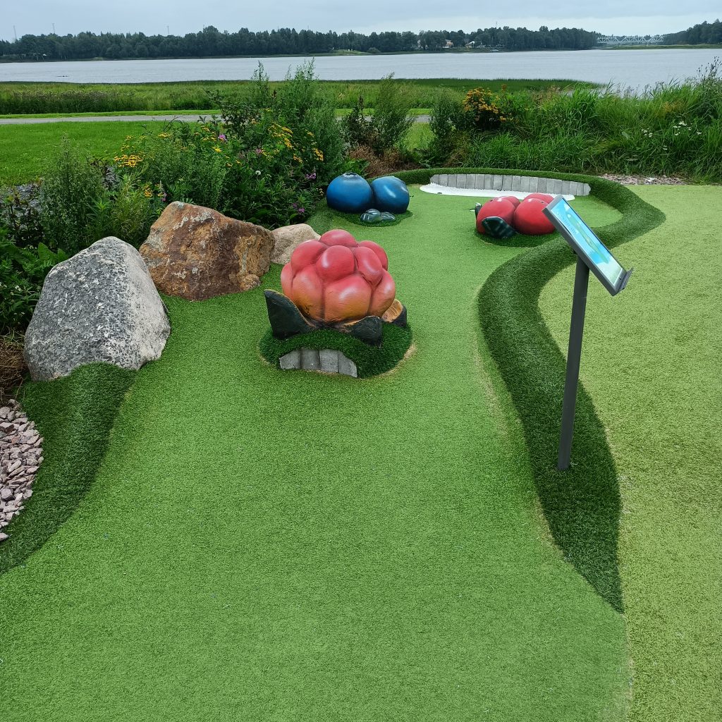 Bahn mit überdimensionalen Beeren