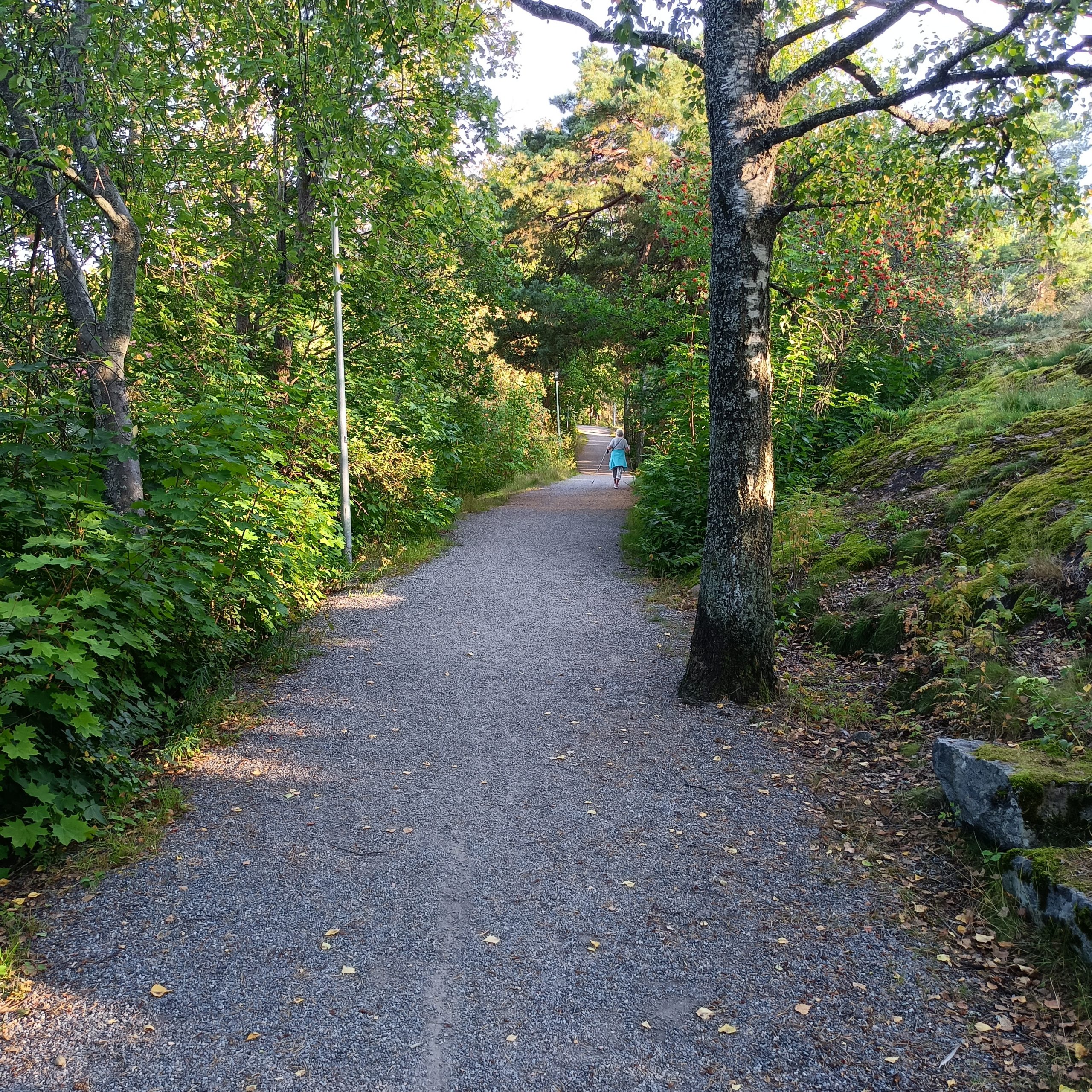 Kiesweg zwischen Bäumen