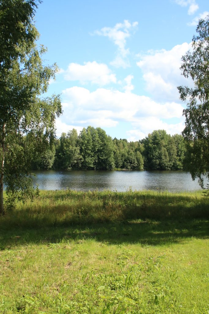 Wiese und Wasser vor Bäumen