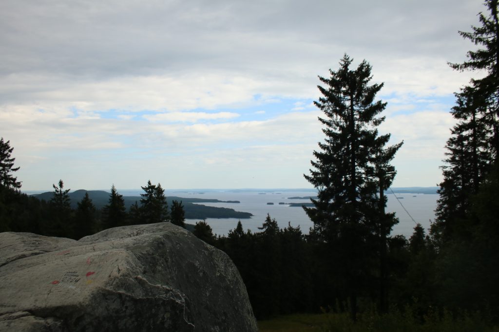 Vorne ein Felsen und rechts ein Nadelbaum und im Hintergrund ein See