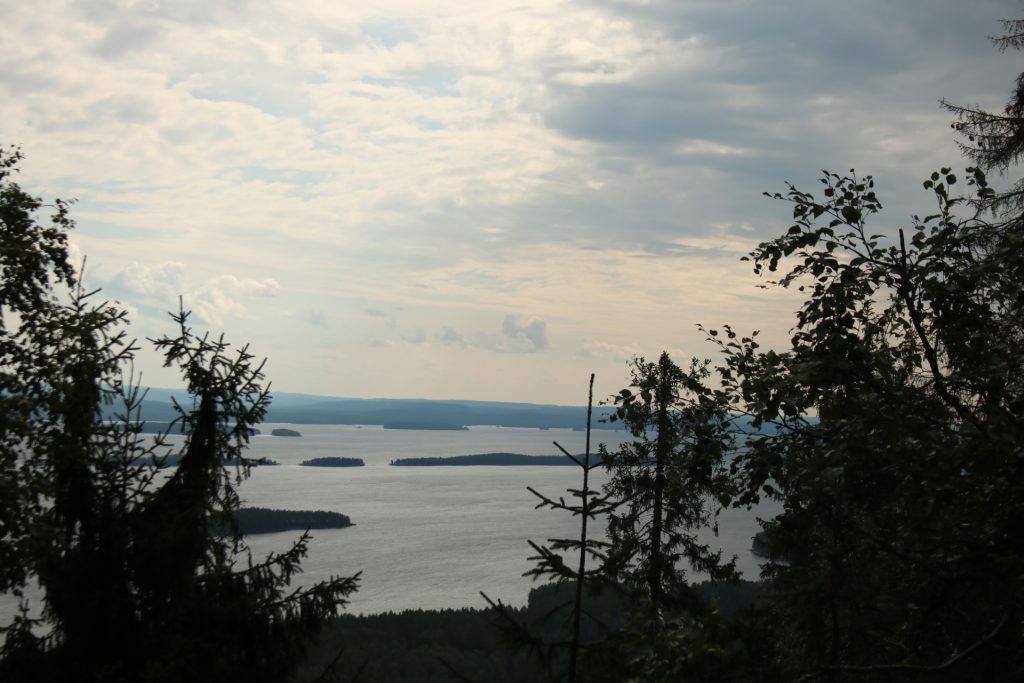 Links und rechts Bäume und im Hintergrund ein See