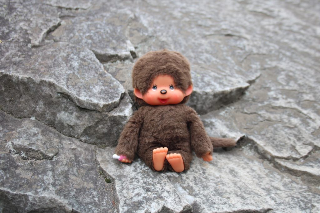 Minou sitzt auf einem Stein