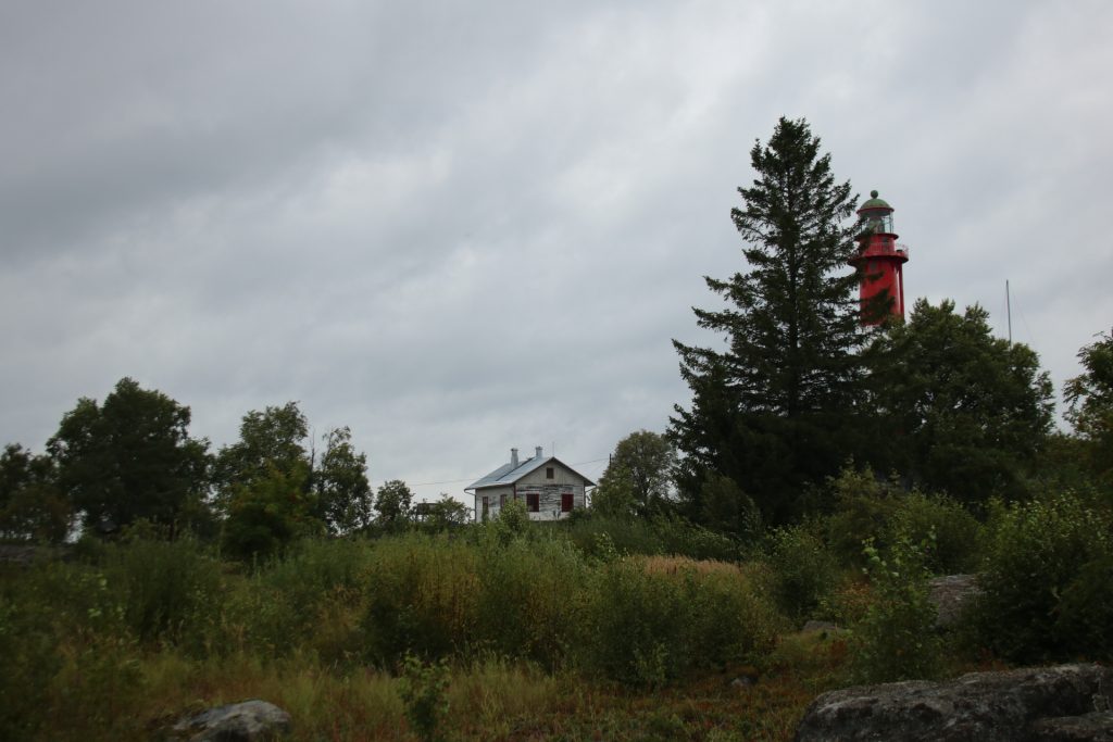 Bäume und Büsche mit Haus und Leuchtturm