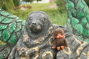 Minou mit Saimaa Ringelrobbe