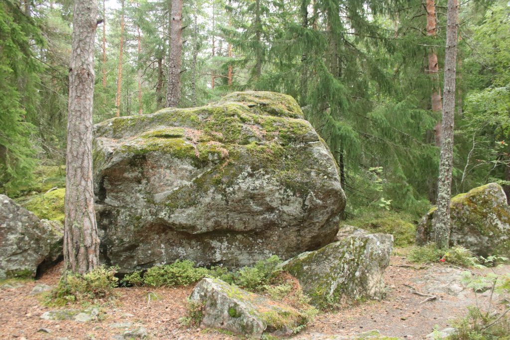 Findling im Wald bei Imatra