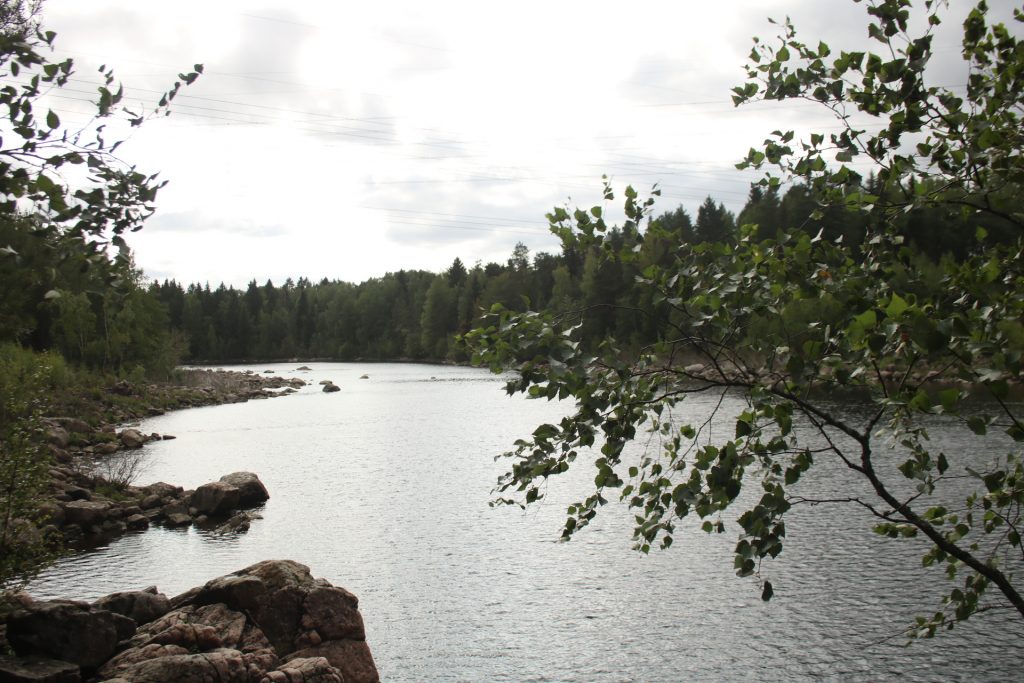 Blick auf einen Fluss