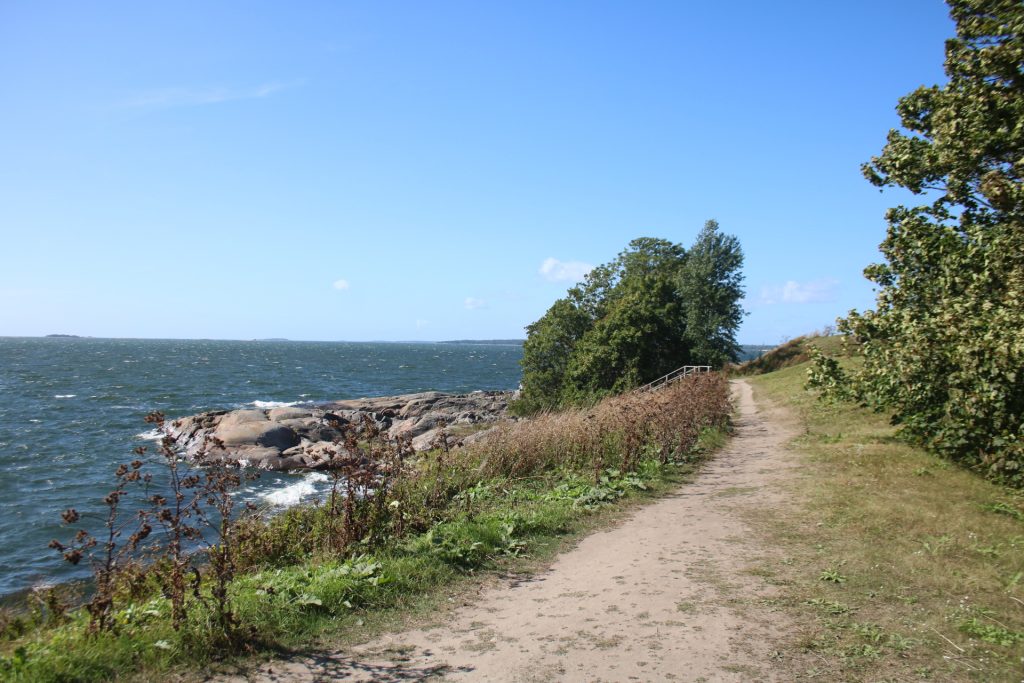 Weg mit Büschen und Meer