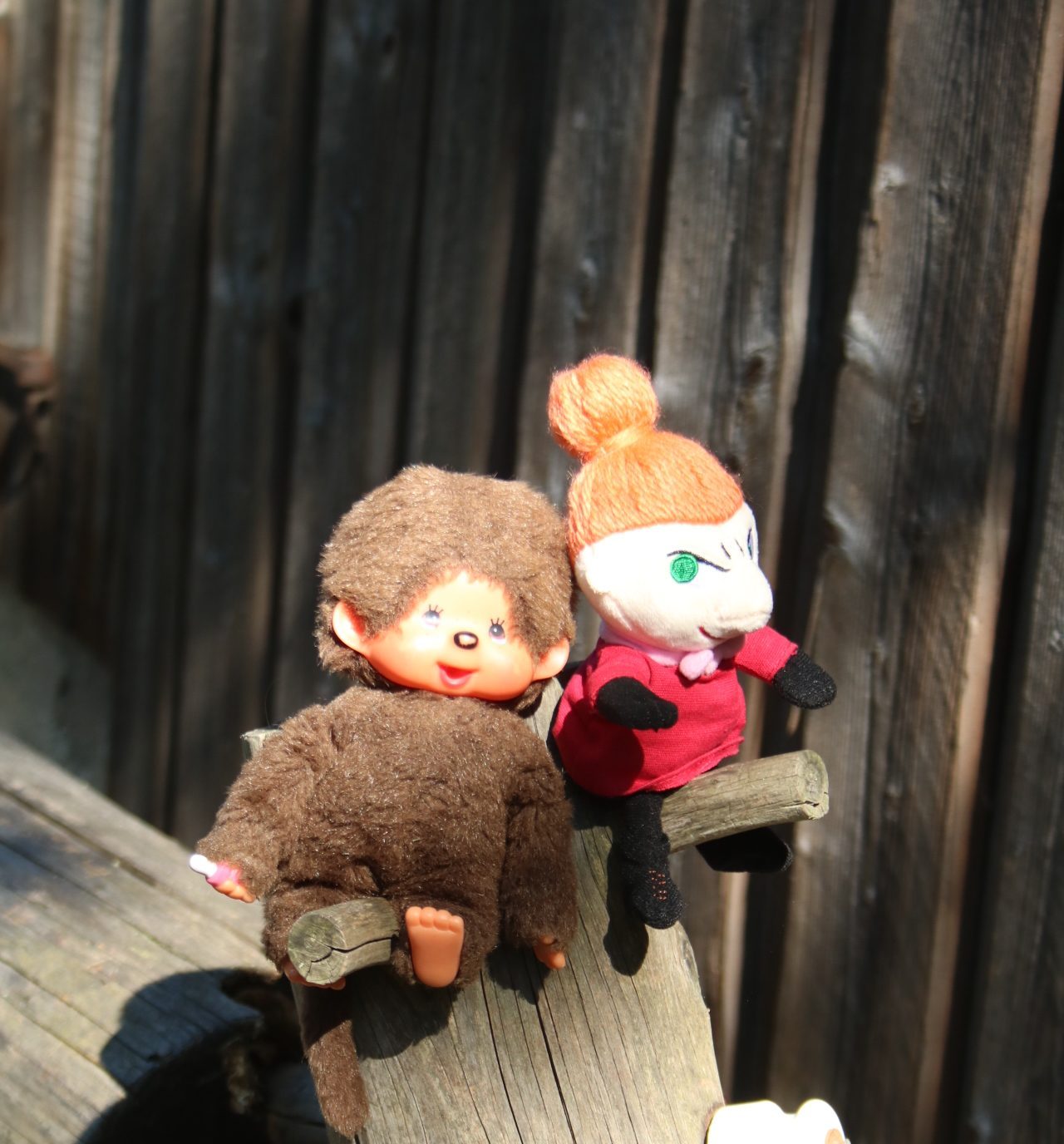 Minou und My in Turku