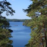 Blick auf einen See im Nationalpark Tiveden