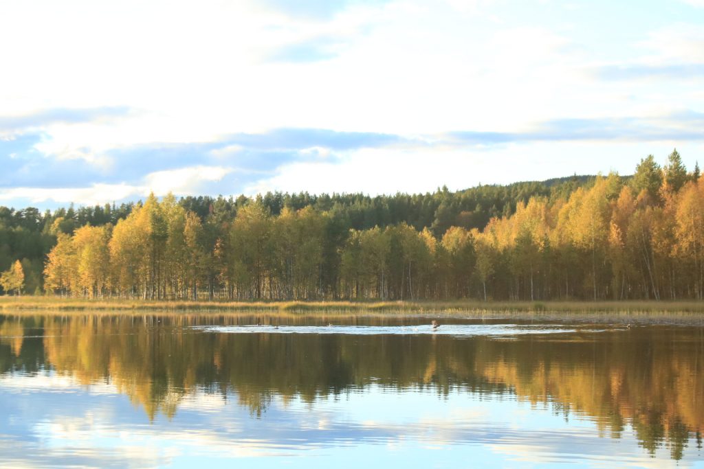 Blick vom Campingplatz Sonfjällscampen