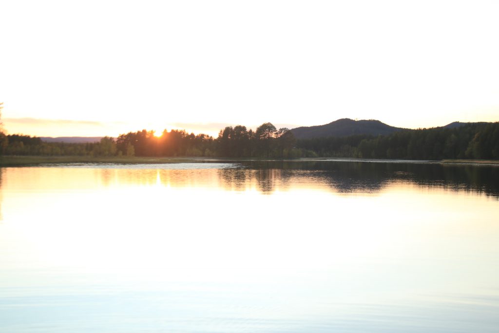 Sonfjällt Nationalpark