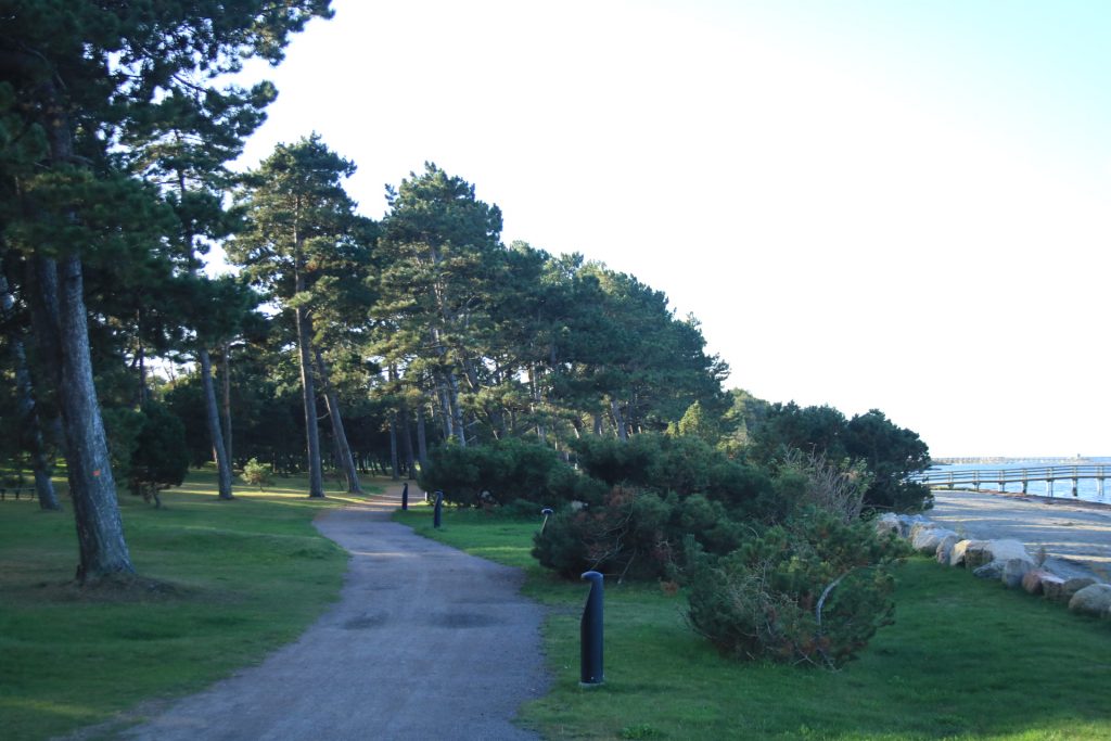 Weg mit Fichten bei Landskrona