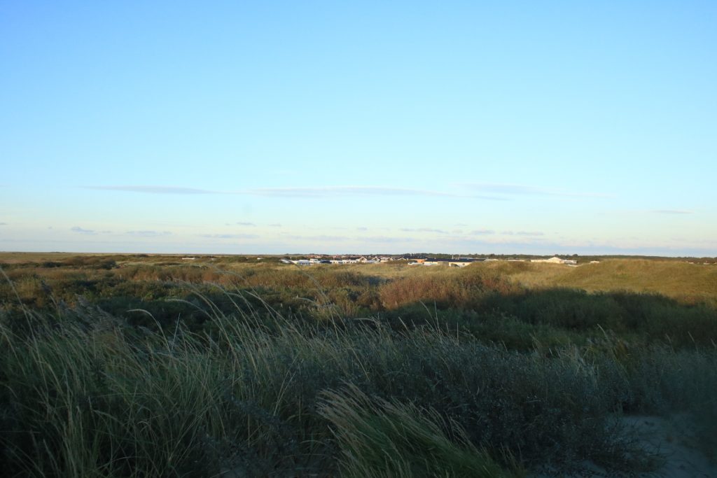 Dünen und Campingplatz auf Rømø