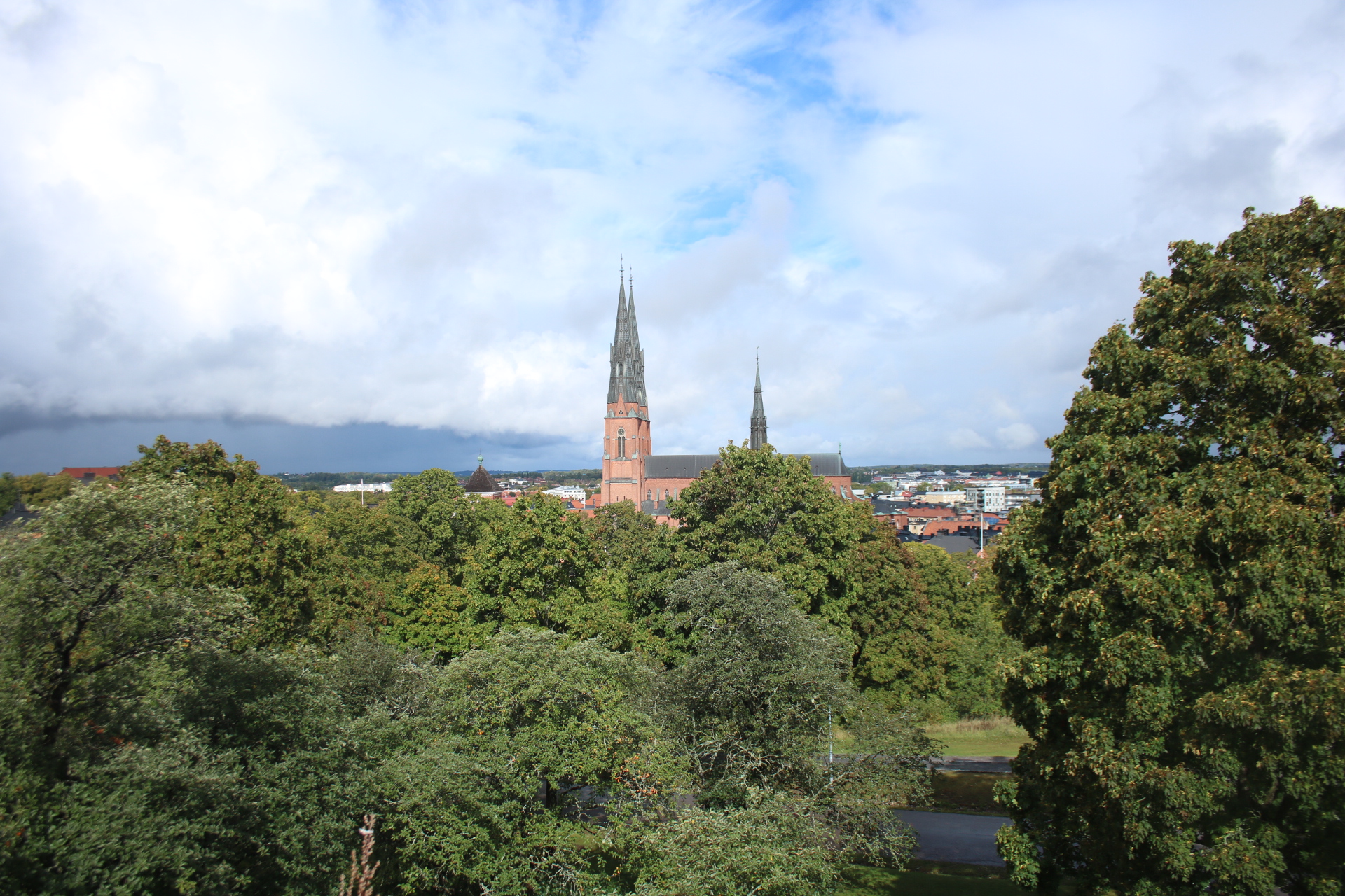 Blick über Bäume auf Kirchturmspitzen in Uppsala