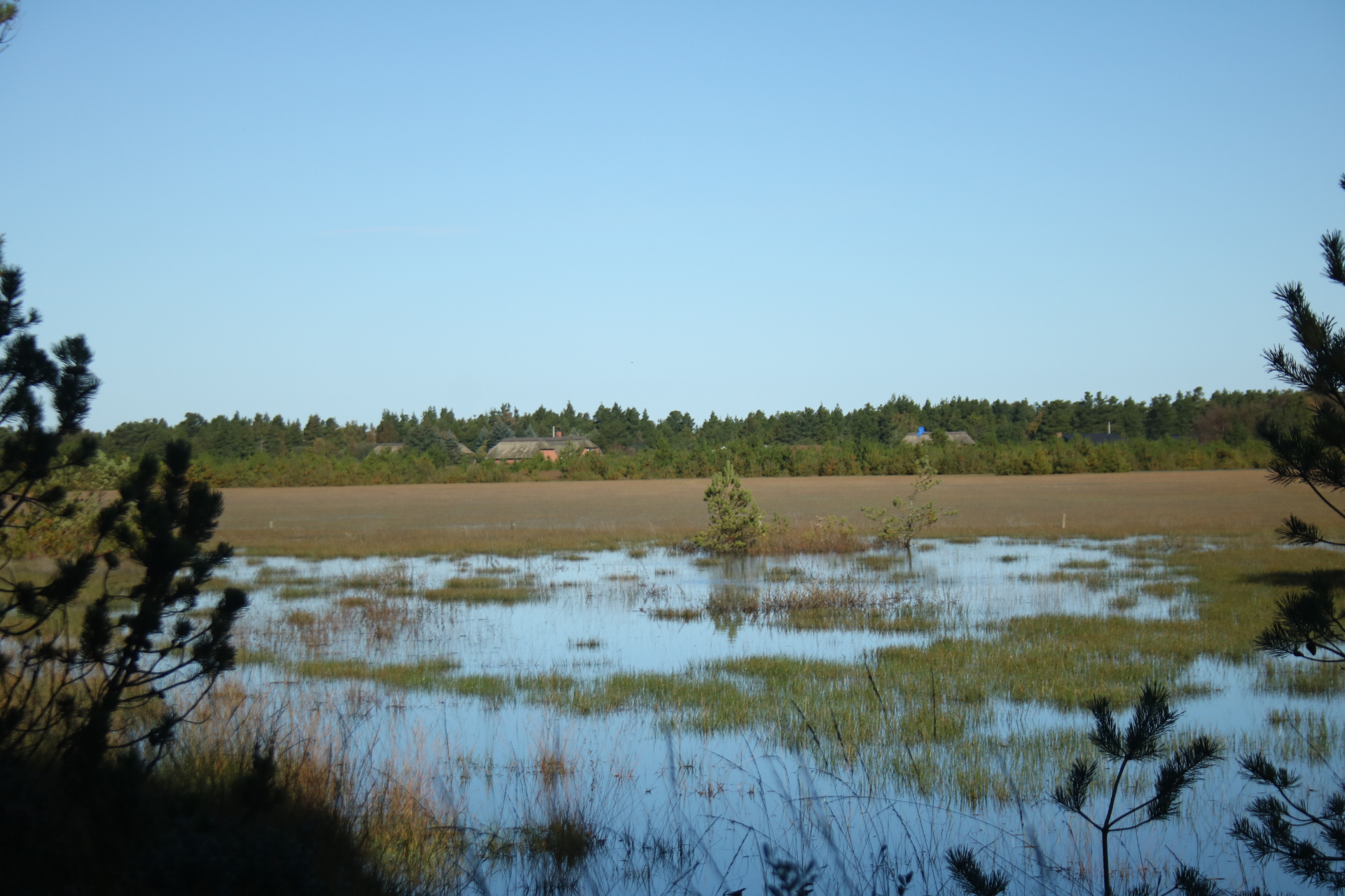 Landschaft auf Rømø