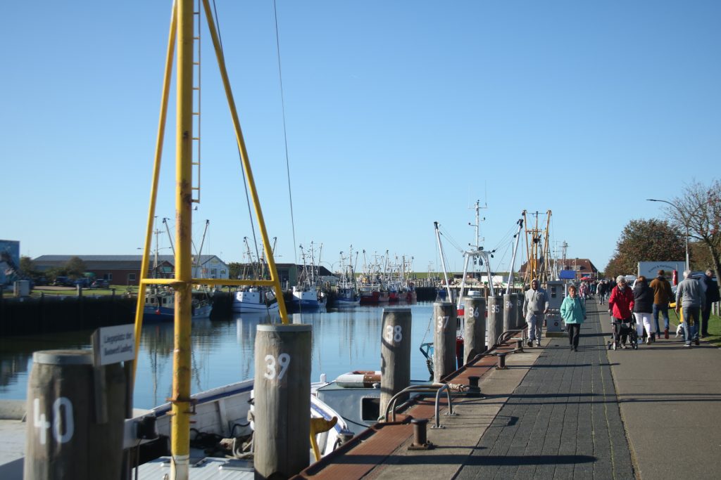 Hafen von Büsum